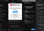 Cara Mendapatkan Youtube Premium Gratis Selamanya